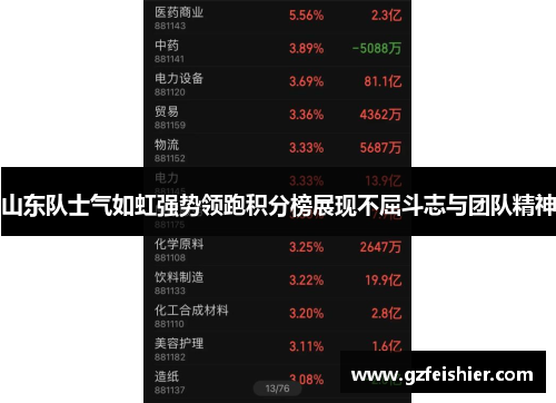 山东队士气如虹强势领跑积分榜展现不屈斗志与团队精神