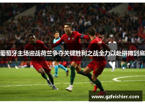 葡萄牙主场迎战荷兰争夺关键胜利之战全力以赴拼搏到底
