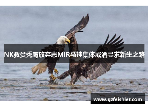 NK救贫秃鹰放弃患MIR马神集体戒酒寻求新生之路