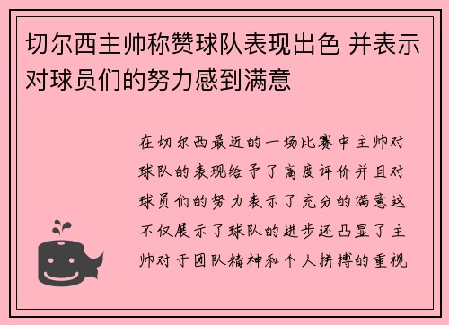 切尔西主帅称赞球队表现出色 并表示对球员们的努力感到满意
